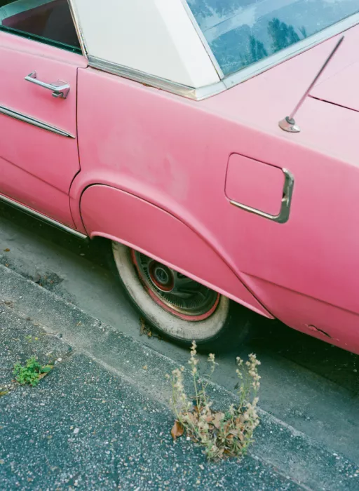 Young, Bethany: New Orleans Ride X