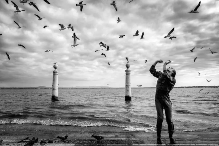 Melo, Josefina: Gli Uccelli
