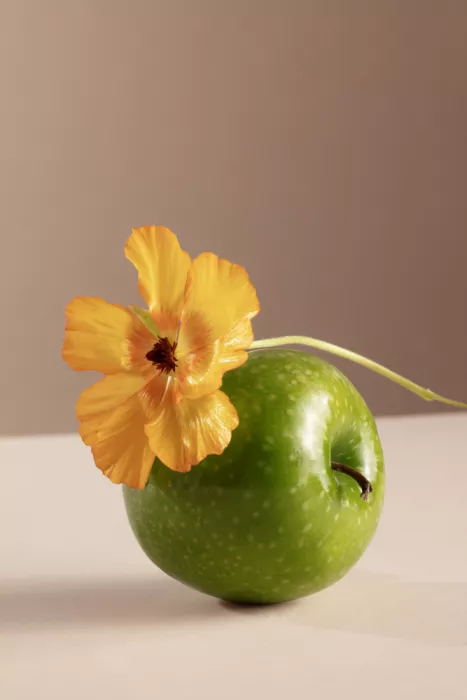 Ramiro, Julia: Apfel mit Blüte