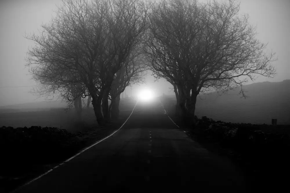 Caria, Rui: Nebel