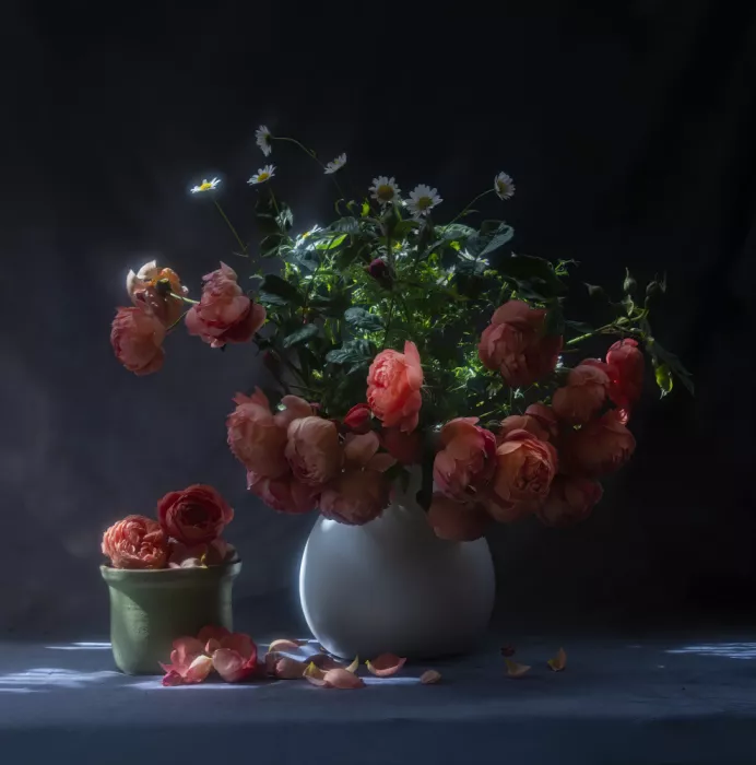 Tseng, Judy: Canzone estiva
