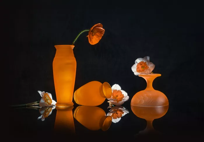 Jacobs, Lydia: Oranžový narcis a mák