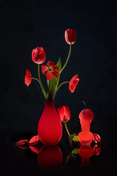 Jacobs, Lydia: Červený tulipán, mák a rajče
