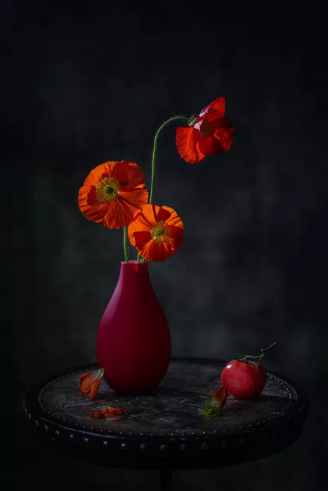 Jacobs, Lydia: Fiori di papaveri rossi