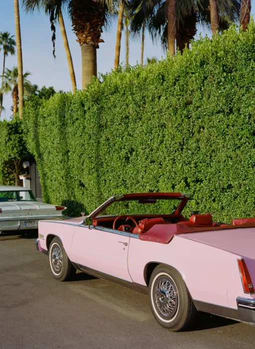 Young, Bethany: Pink Cadillac IV