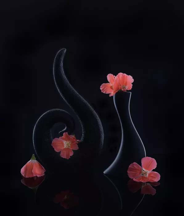 Sheng, Alice: nature morte 117