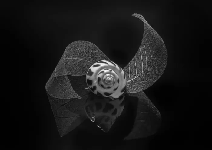Sheng, Alice: Naturaleza muerta 118