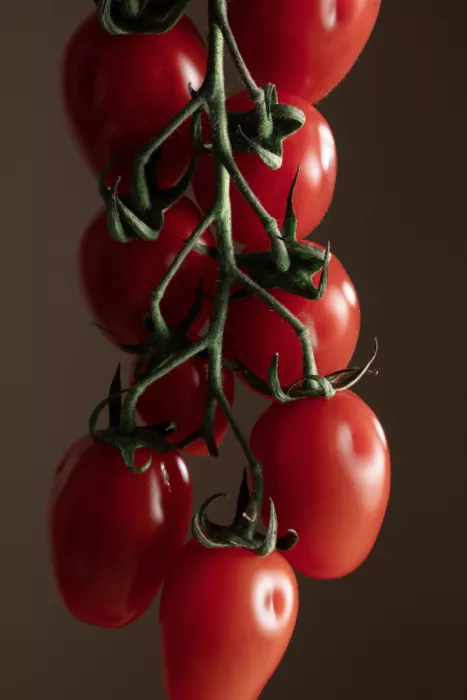 Ramiro, Julia: Tomates Cerises sur Branche