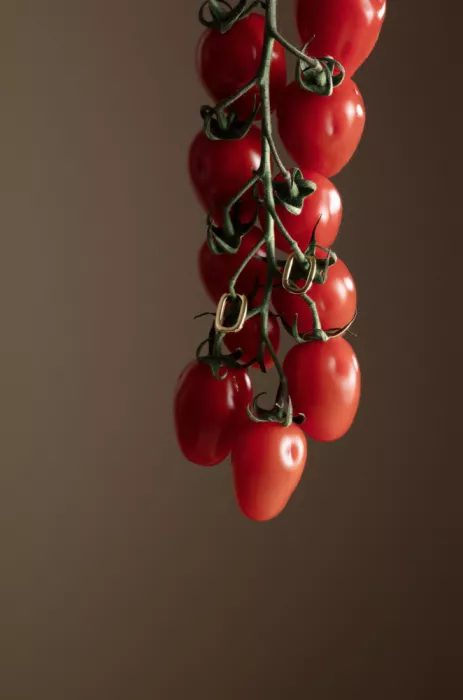 Ramiro, Julia: Tomates cerises aux boucles d