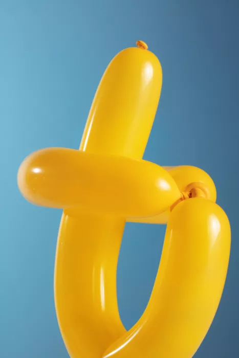 Ramiro, Julia: Verdrehter gelber Ballon
