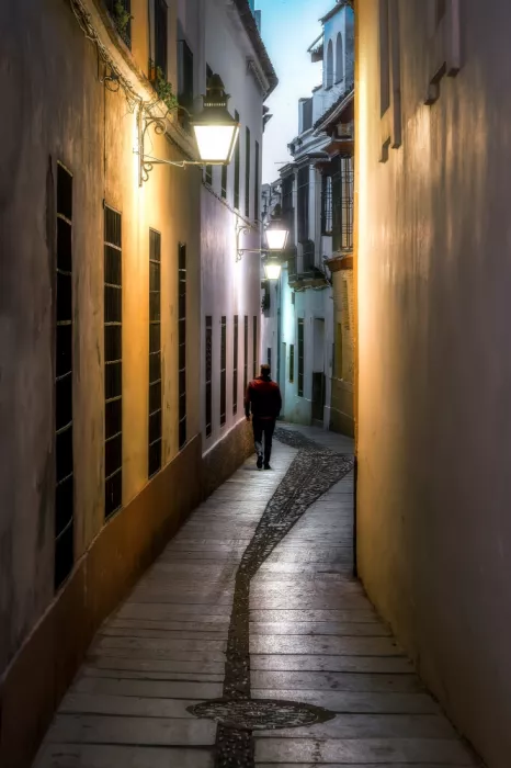 Seco, Luis Juan: Passeggiate con incanto...