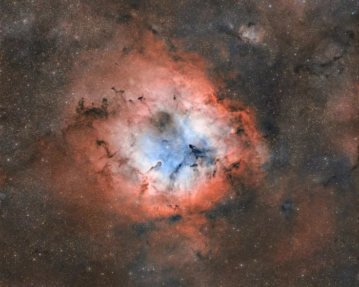 Rodríguez, María Rosa: IC 1396, Rüsselnebel
