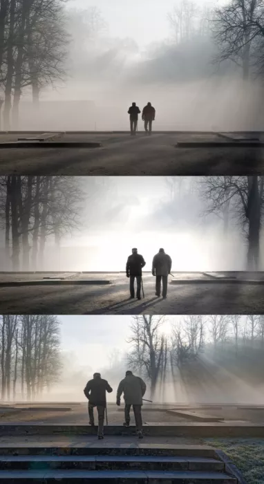 Dupont, Isabelle: Passeggiata nella nebbia