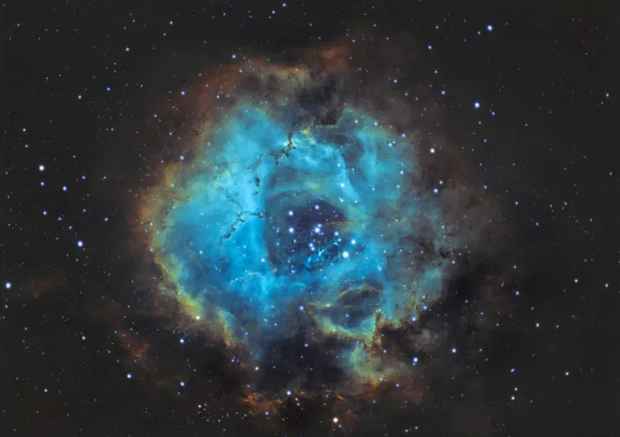 Tamajo, Massimo: Rosetta-Nebel