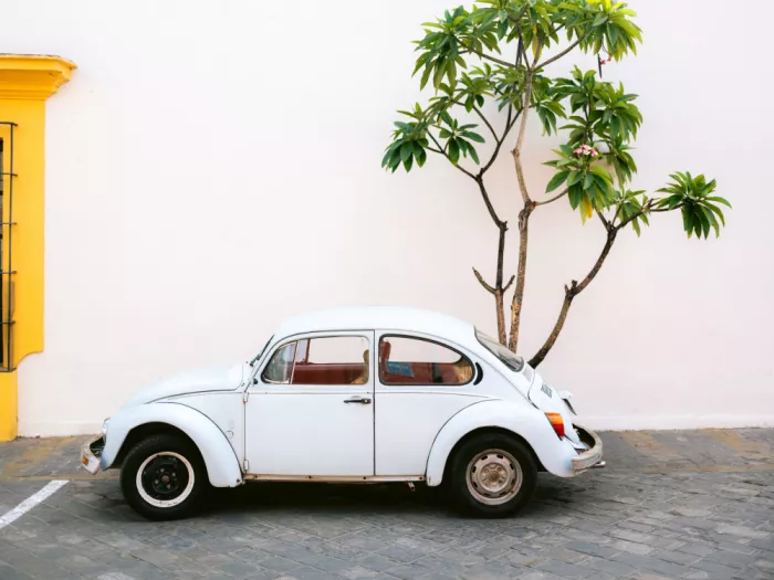 Zwart, Raisa: Pastell-Volkswagen Beetle in den Straßen von Oaxaca, Mexiko