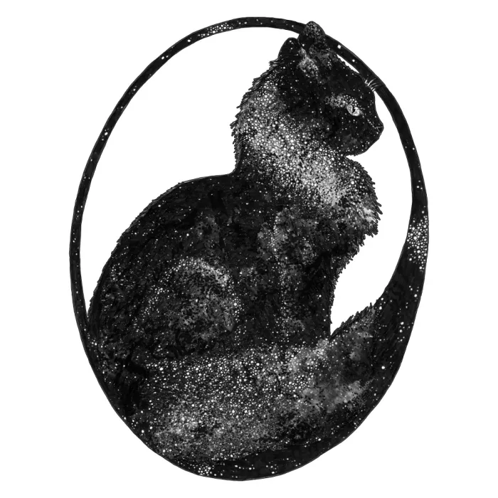Mazur, EC: Weltraum-Katze