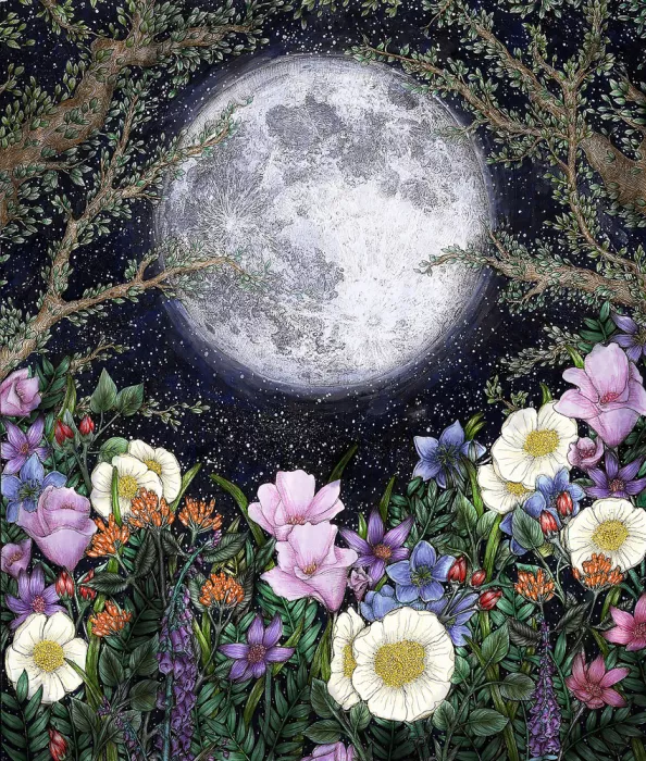 Mazur, EC: Minuit dans le Jardin des Couleurs