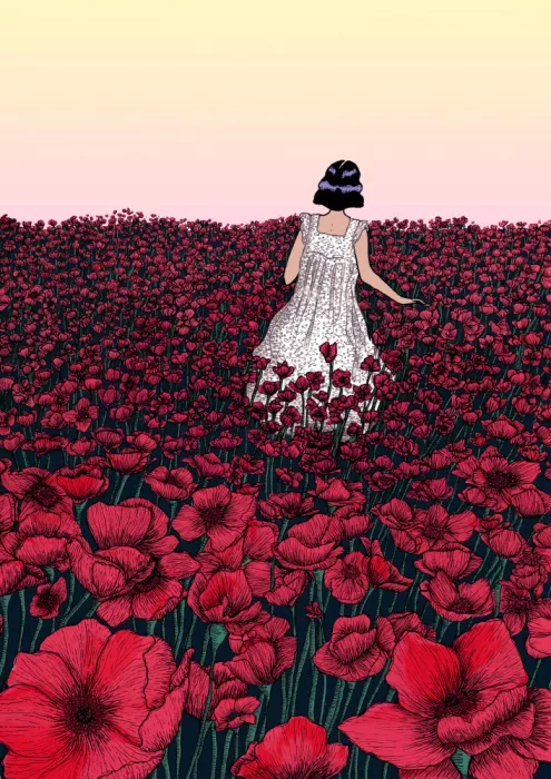 Mazur, EC: Champ de Coquelicots Copie couleur originale 2