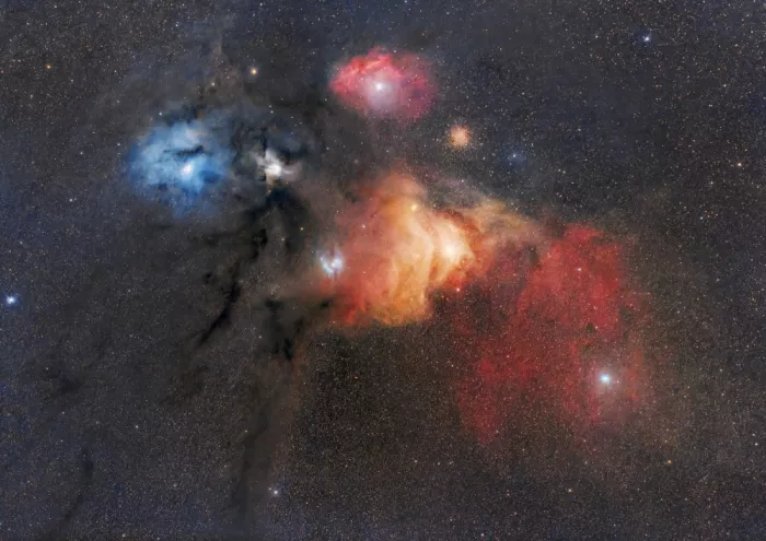 Rodríguez, María Rosa: Rho-Ophiuchi-Wolkenkomplex