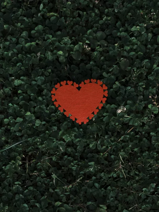 akyurt, engin: Amore