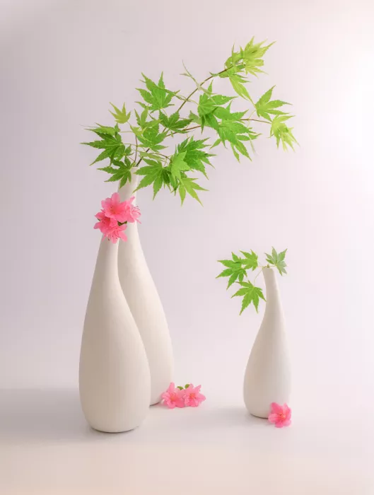 Sheng, Alice: Nature morte 123