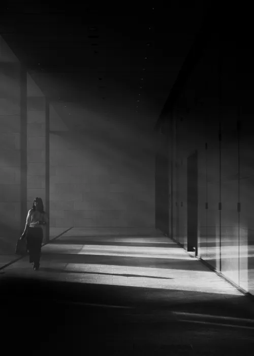 ISHIKAWA, HISASHI: Dove la luce incontra l