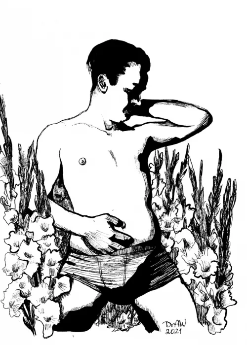 ., DrAW .: Glaïeul