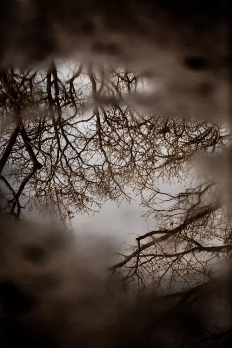 Böhmer, Mareike: Reflets d