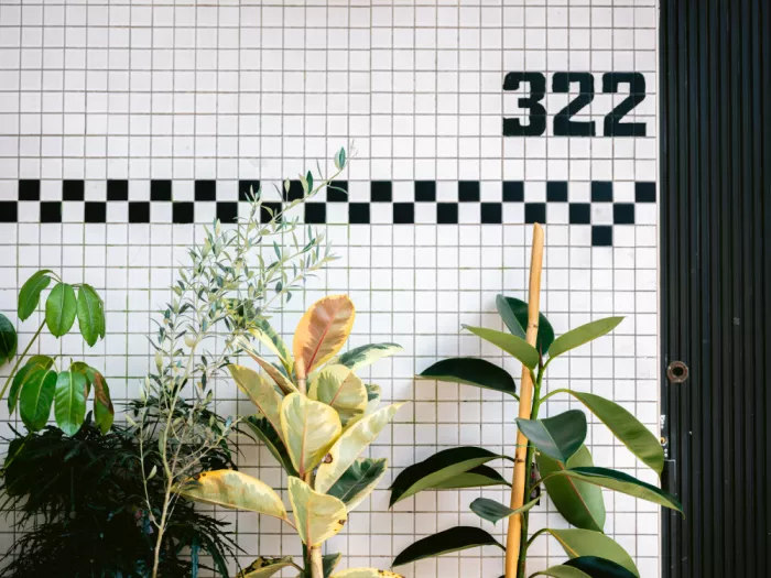 Zwart, Raisa: Détails de Mexico City