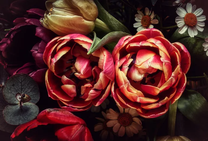 Losada, Secundino: Bouquet nostalgico