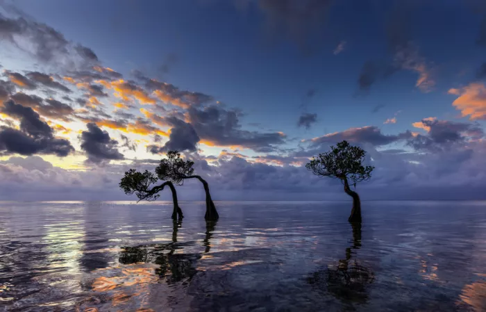 Jin, Jie: Sunrise na pláži