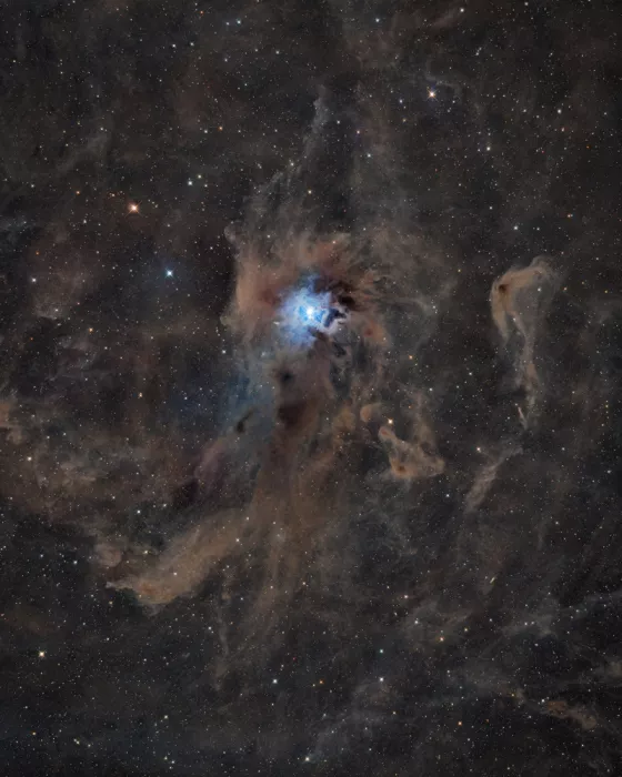 Chander, Vikas: La Nebulosa dell
