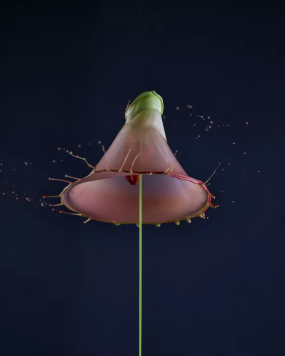 Qu, Anna: Gota de agua (4)