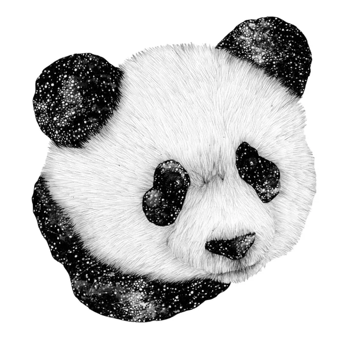 Mazur, EC: Kosmischer Panda Quadrat
