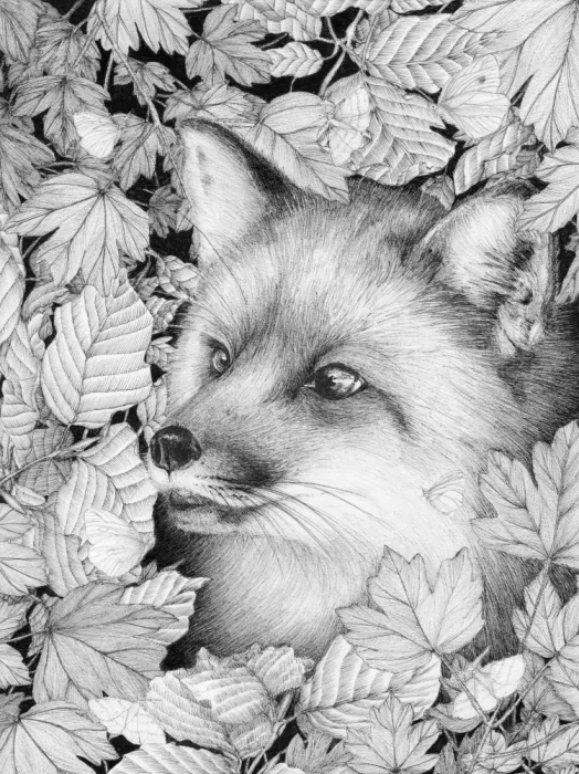 Mazur, EC: Fuchs und Wald
