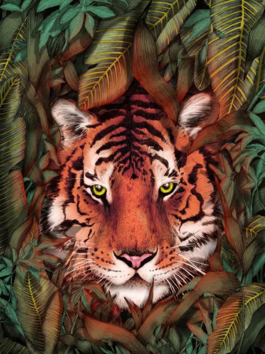 Mazur, EC: Dschungel Tiger Majestät Farbe Original