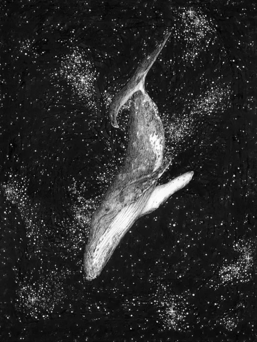 Mazur, EC: Océan Magique Baleine Grand