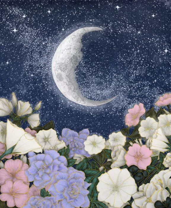 Mazur, EC: Clair de lune dans le jardin Couleur Grand