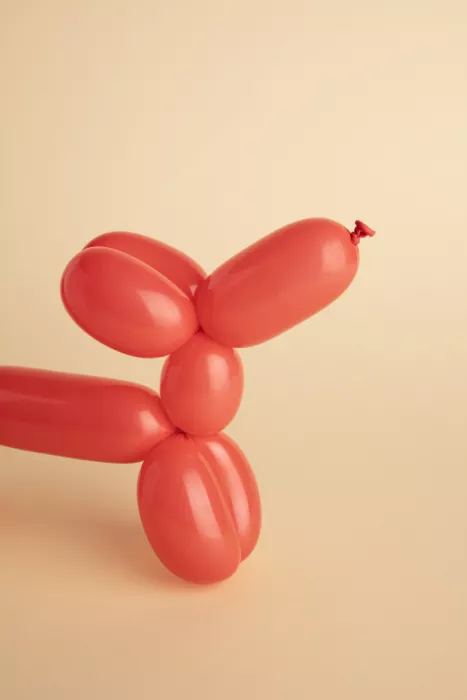 Ramiro, Julia: Chien ballon rouge
