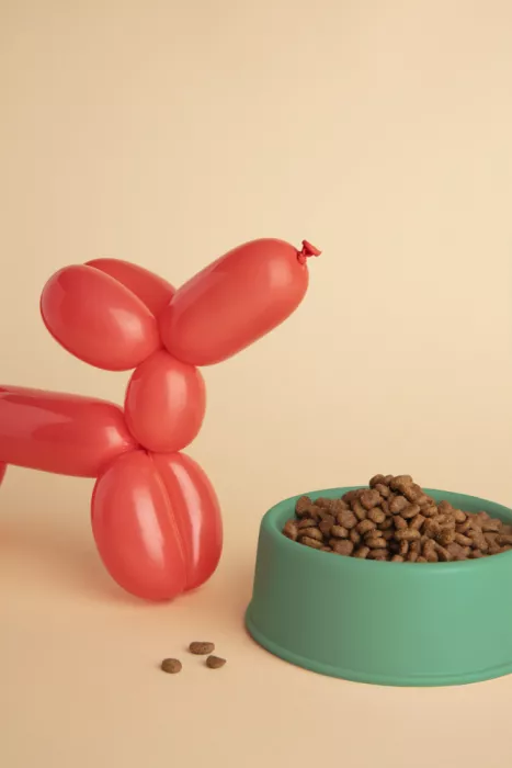 Ramiro, Julia: Ballonhund mit Futternapf