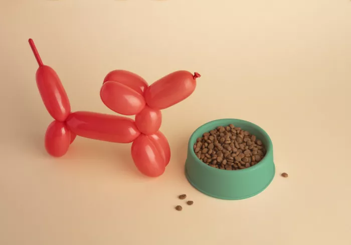 Ramiro, Julia: Chien Ballon avec Gamelle