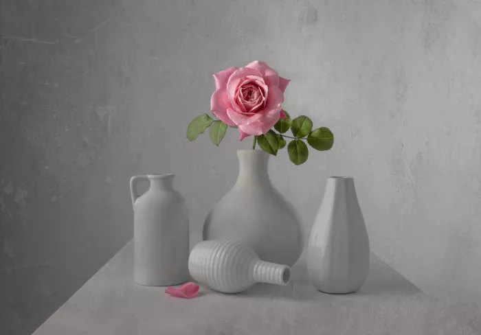 Perfoncio, Margareth: Rosa solitaria