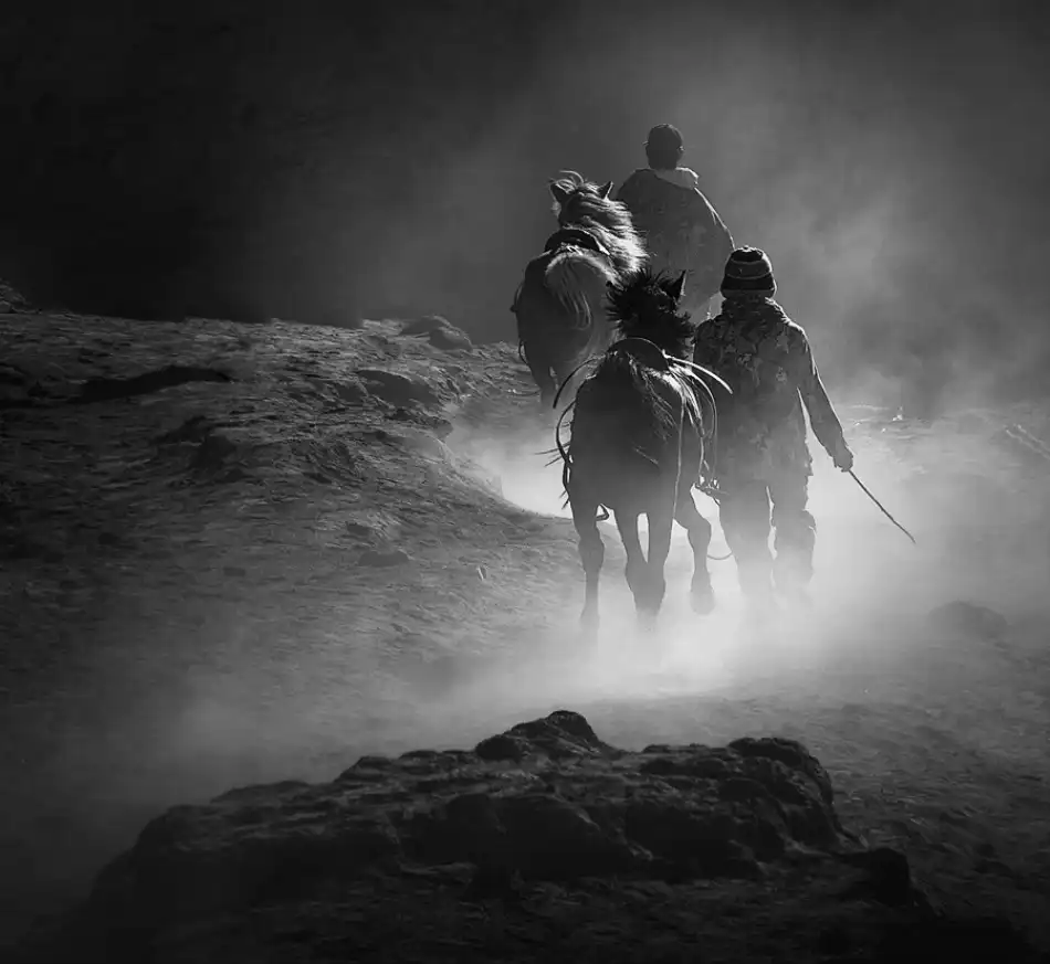 saelanwangsa: Guide horse