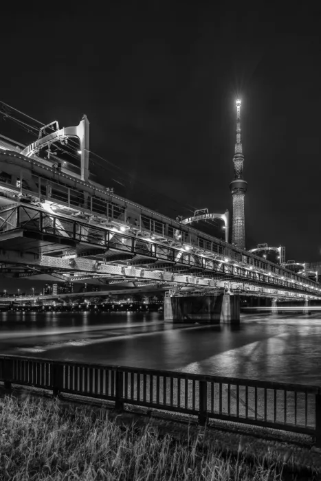 Viola, Melanie: Tokyo Skytree se Sumida River Walk v noci - monochromatické