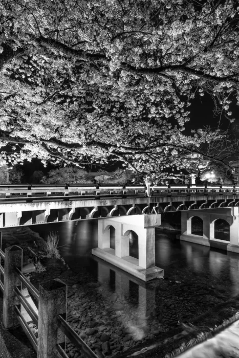 Viola, Melanie: Die charmante Nakabashi-Brücke am Abend - Monochrom