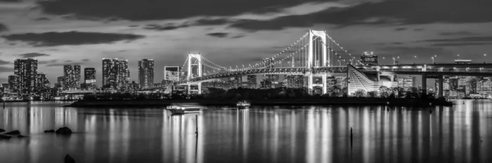Viola, Melanie: Wunderschöne Rainbow Bridge und Tokio Skyline bei Sonnenuntergang - monochromes Panorama
