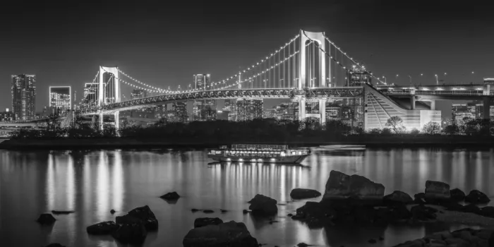 Viola, Melanie: Půvabný Rainbow Bridge s tokijskou oblohou v průsvitě - monochromatické panorama