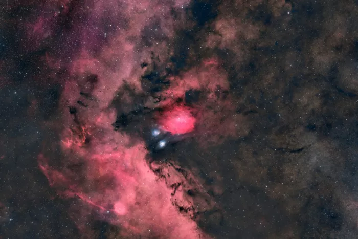 Chander, Vikas: Colorami Sagittario