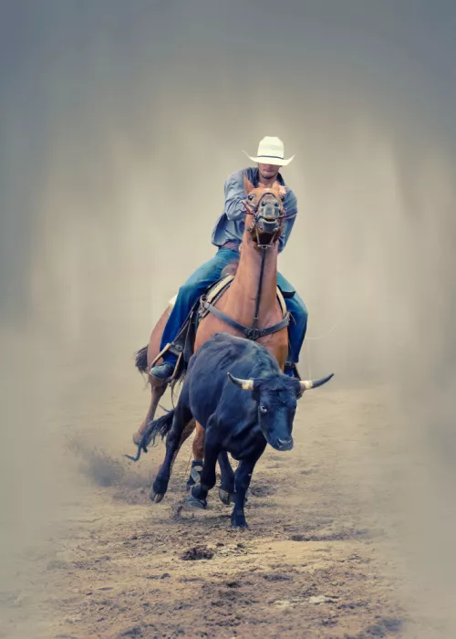 Wang, Ti: Cowboy