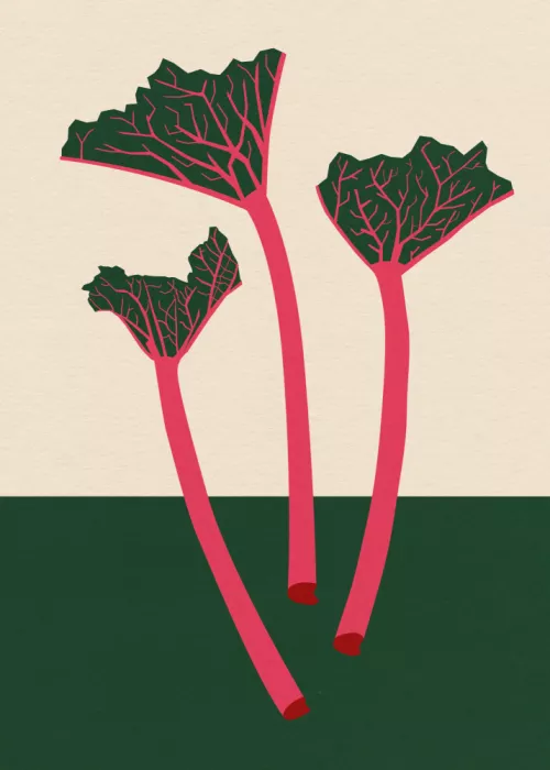 Feist, Rosi: Giardino svedese Rabarbaro